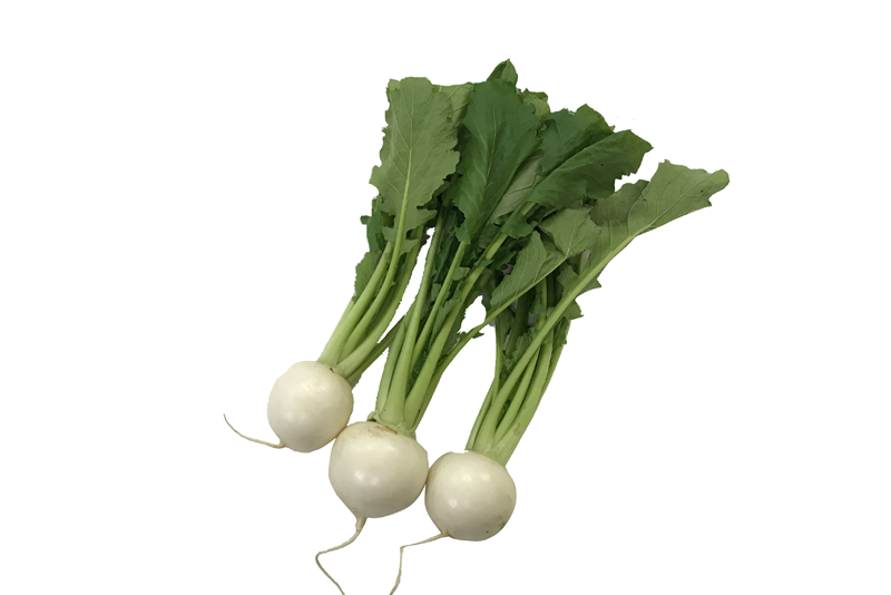 ���� ��Ĺ���