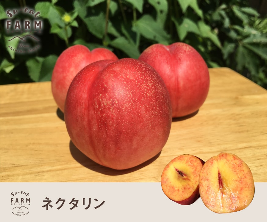 7����ܡ����ܡ�����  �������ȥȥåס�������