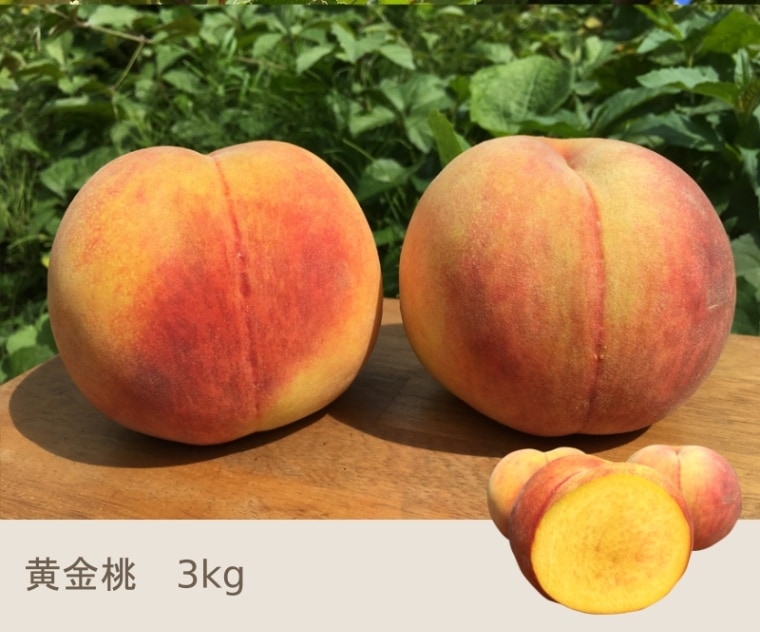 【ゆう】黄金桃3キロ×2 8月中旬～下旬 黄金桃 3キロ | くだもの,もも | Su-eat Farm