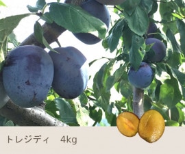 8���ܡ��ȥ쥸�ƥ���4����