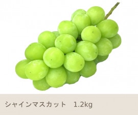 9ܡ㥤ޥåȡ1.2