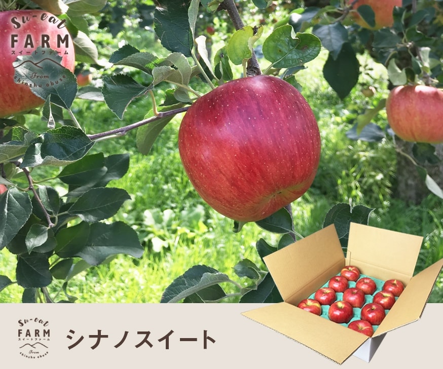 tan、シナノスイート特選品１０キロ tan、シナノスイート特選品10キロ シナノスイート 10kg」の