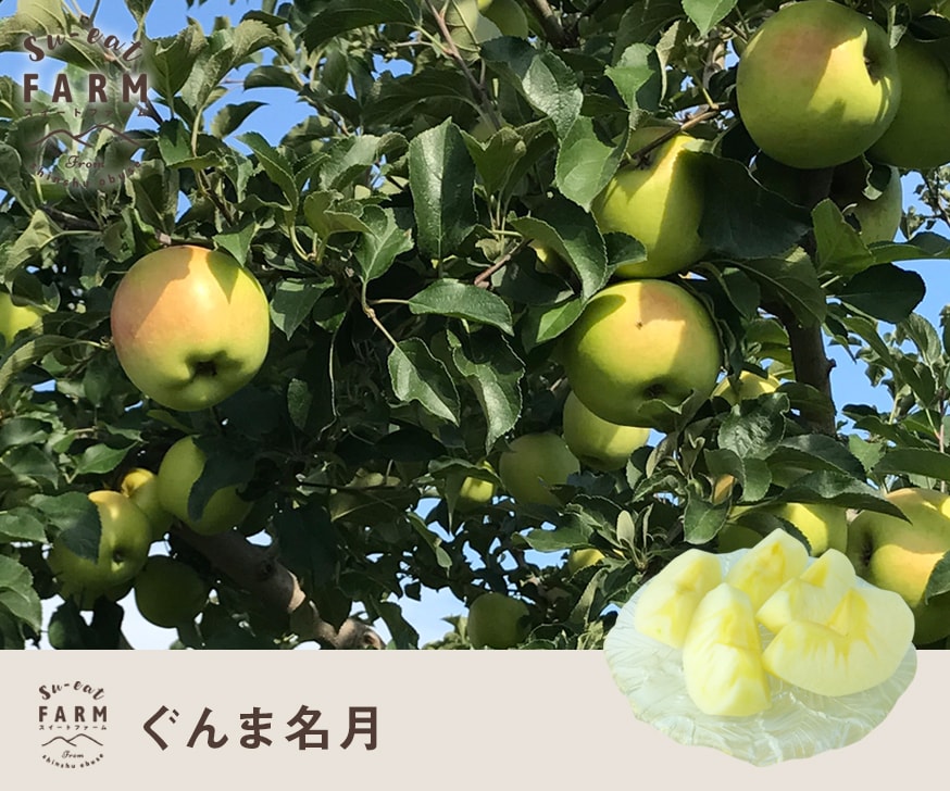 11月上旬 特選 ぐんま名月 10キロ | くだもの,りんご | Su-eat Farm