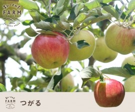 8��ܡ�9���ܡ������ꡡ�Ĥ��롡 5����