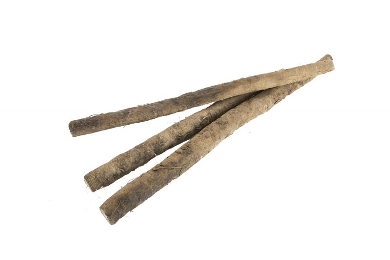 Ĺ��������¼�����ܤ���1�ޡ�