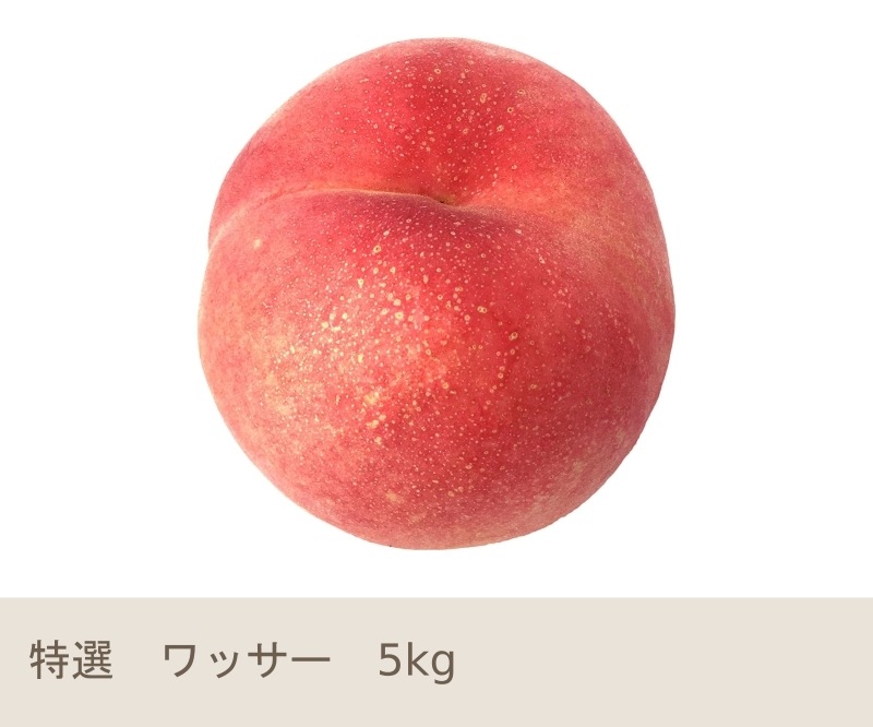 8月上旬 特選 ワッサー 5キロ | くだもの,ワッサー | Su-eat Farm