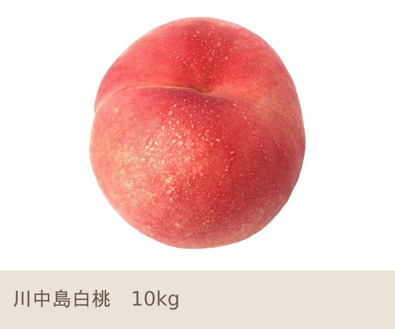 ひろさん専用　桃　川中島　ワケあり　10kg 8月下旬 川中島白桃 10キロ | くだもの,もも | Su-eat Farm