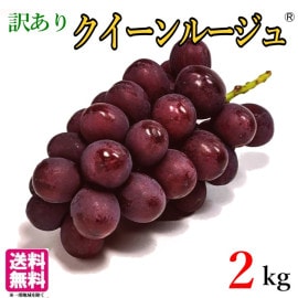 롼塡 2