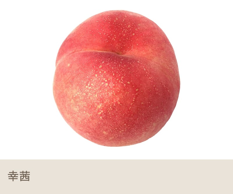 ばあばさん専用 特大 桃 幸茜 わけあり 10kg 9月上旬 幸茜 訳あり 10