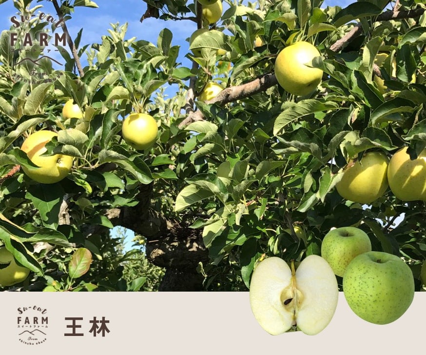 10��ܡ������ꡡ����  3������