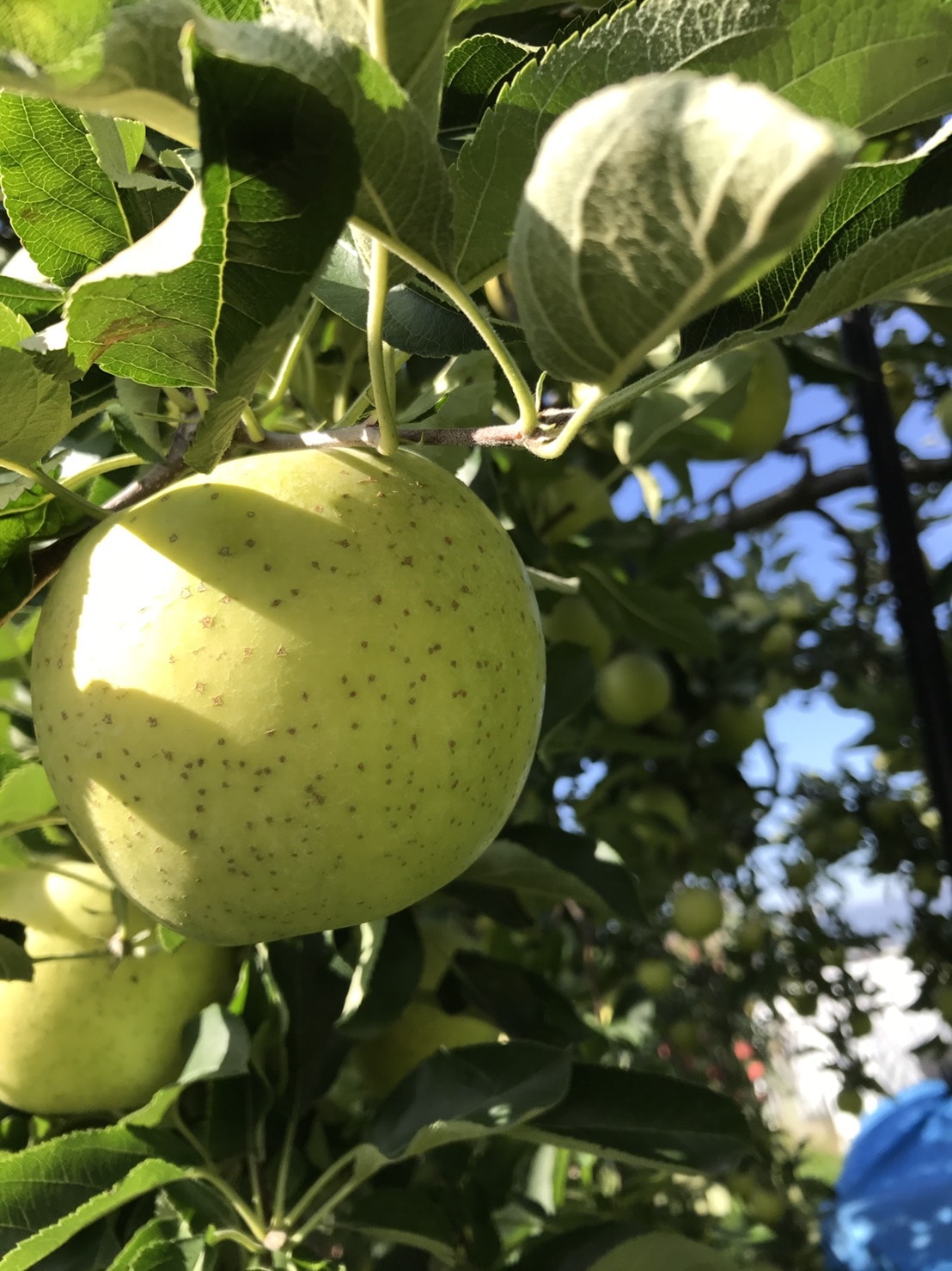 10��ܡ������ꡡ����  3������