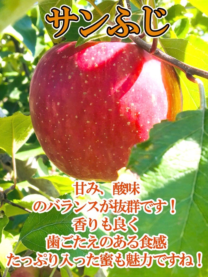 12����� ����դ�  3����