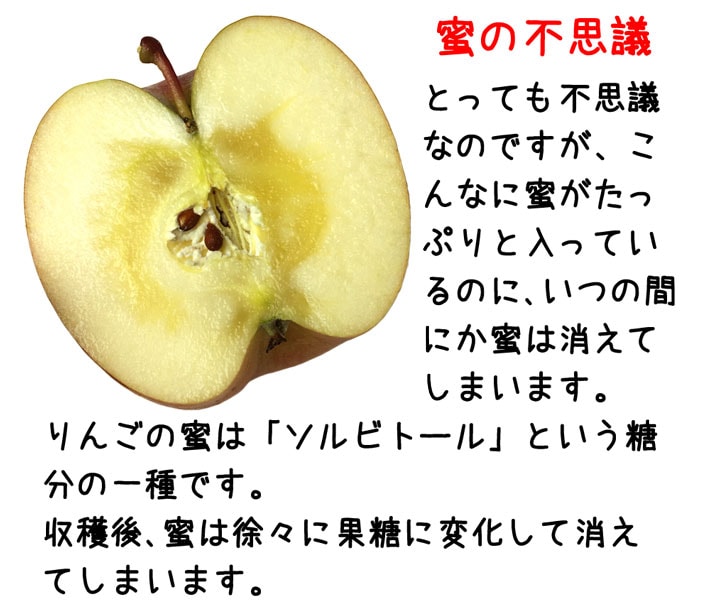 12����� ����դ�  3����