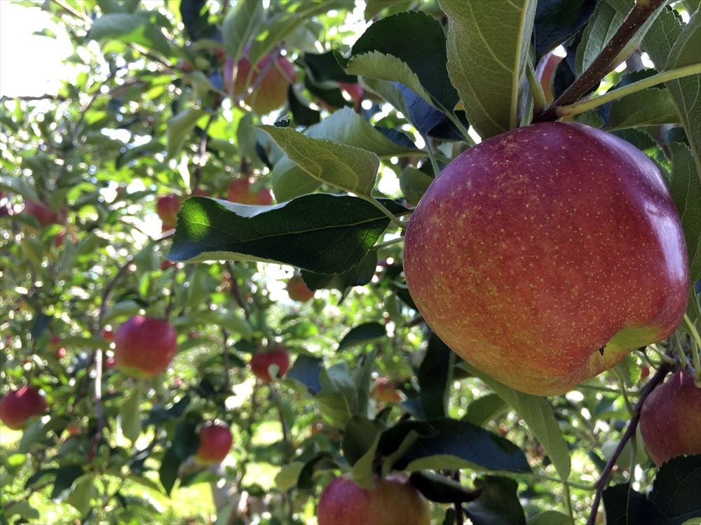 10��ù��ѡ�����  10����