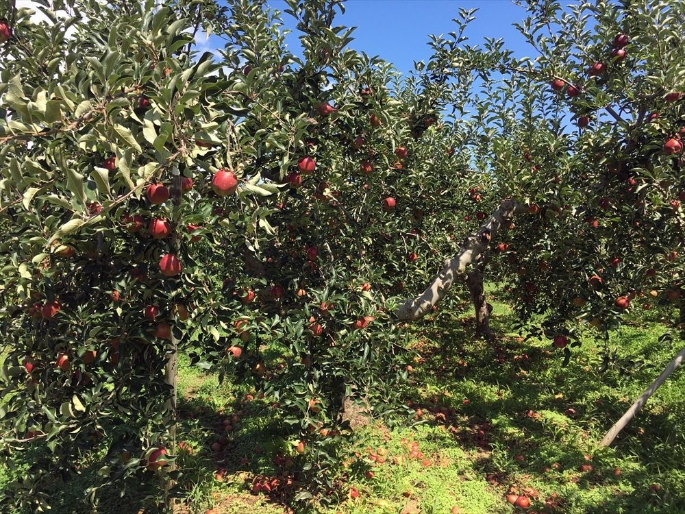 10��ù��ѡ�����  10����