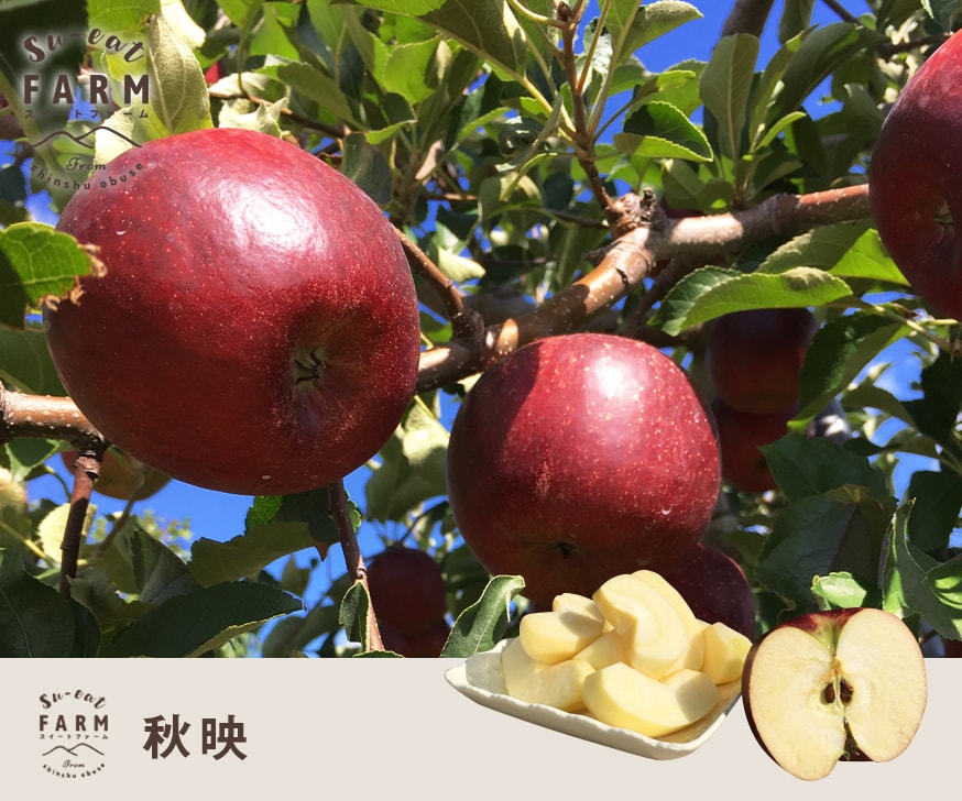 10��ù��ѡ�����  10����