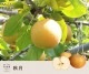 10���ܡ����ܡ����������� 10����