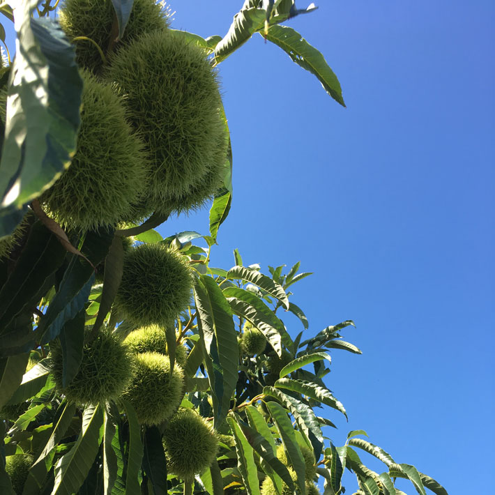 10�� ���� ���ۻ� ���� 2����