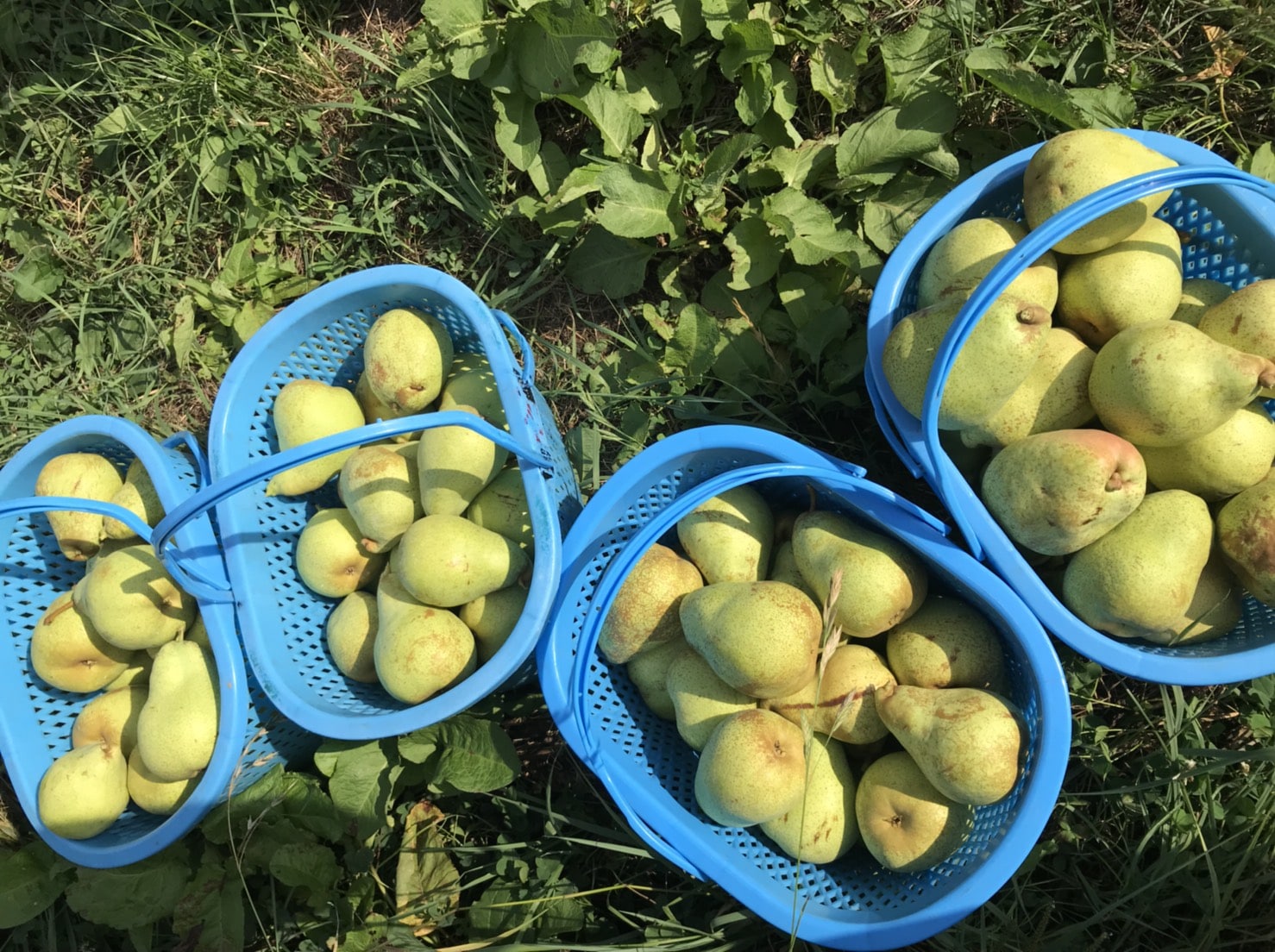 10�� ���� �ޥ륲��åȥޥ꡼��   5����