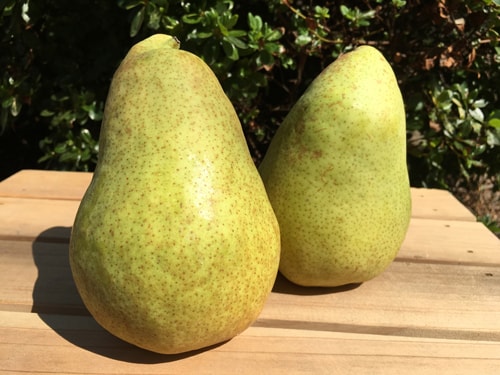 10�� ���� �ޥ륲��åȥޥ꡼��   5����