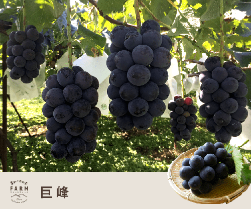 9���ܡ����� 3����