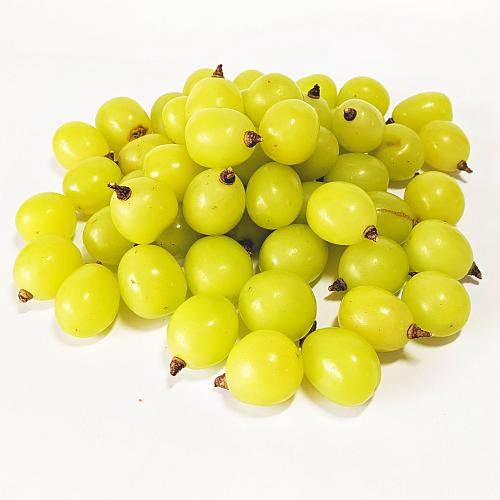 9��ܡ����������㥤��ޥ����å� 2������