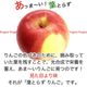 ���५�åȤ�� 1kg