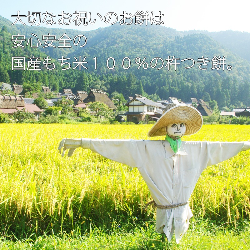 （通信販売）一升餅 de AR２│小餅セット│小餅　33ｇ×55個（全国宅配承れます）│★正午までのご注文で当日出荷可能★│いっしょうもち