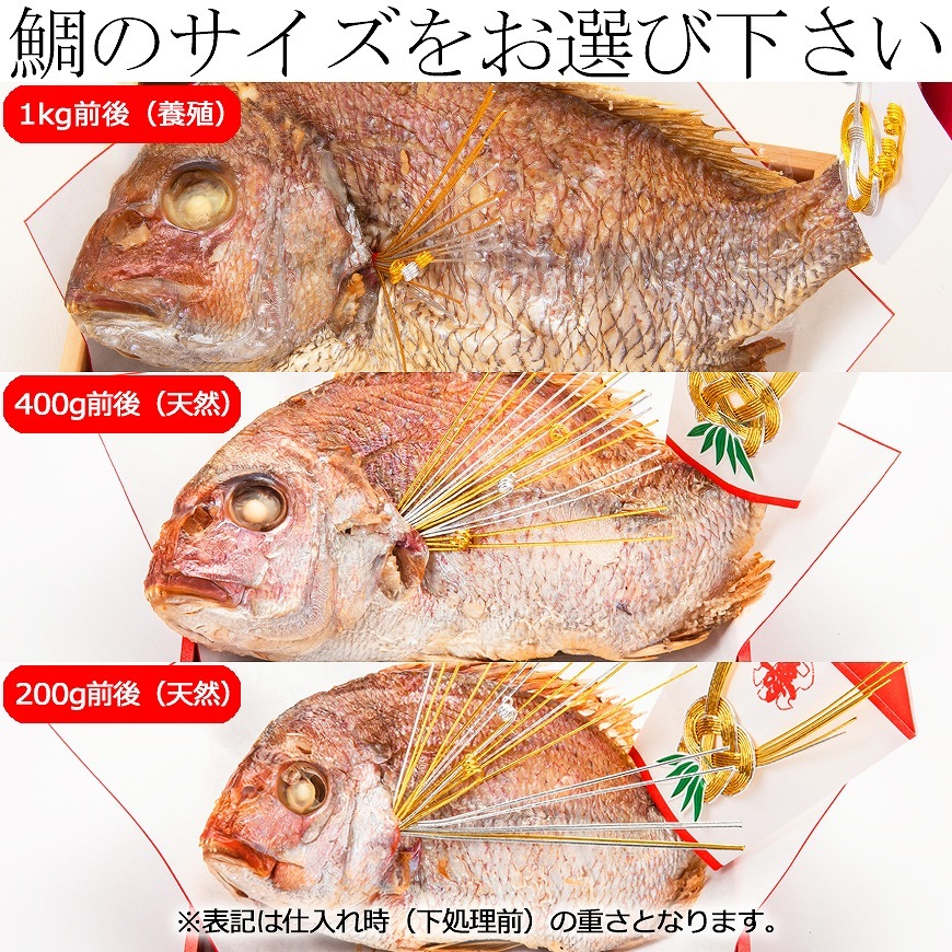 通信販売）お食い初め料理セット【新商品】めばえ膳／めばえぜん│使い捨て容器付き｜鯛のサイズ変更可能｜★北海道・沖縄を除く送料無料★