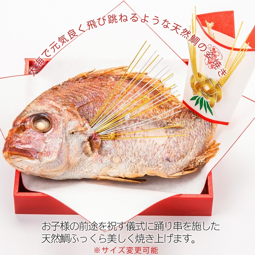 通信販売）お食い初め料理セット【新商品】めばえ膳／めばえぜん│使い捨て容器付き｜鯛のサイズ変更可能｜★北海道・沖縄を除く送料無料★