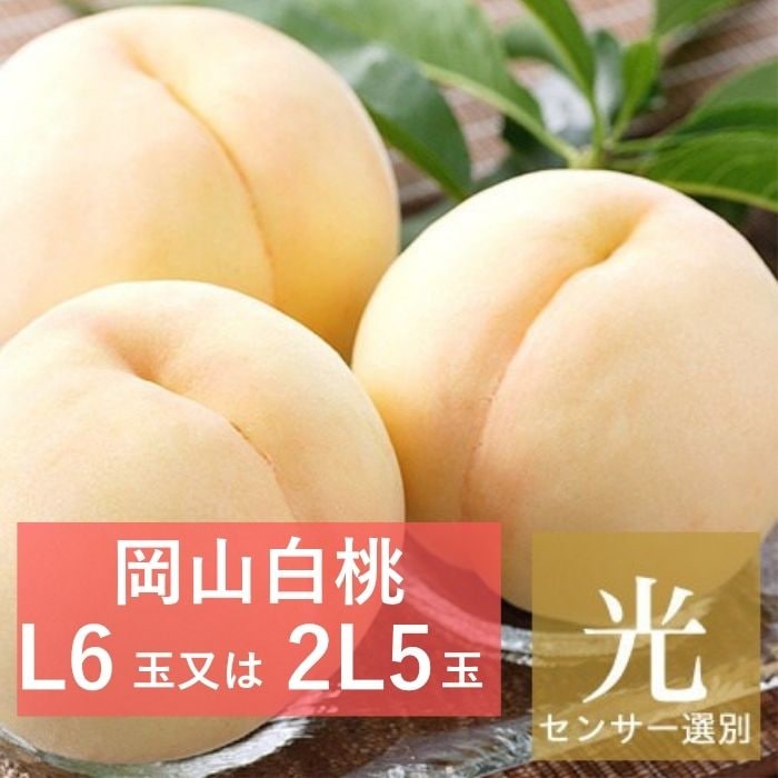 ������󥵡����� �������䲬������ L6������2L5�̡ڻ������Բġۡڽвٻ�����8���8��10������