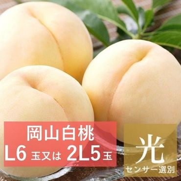 ������󥵡����� �������䲬������ L6������2L5�̡ڻ������Բġۡڽвٻ�����8���8��10������