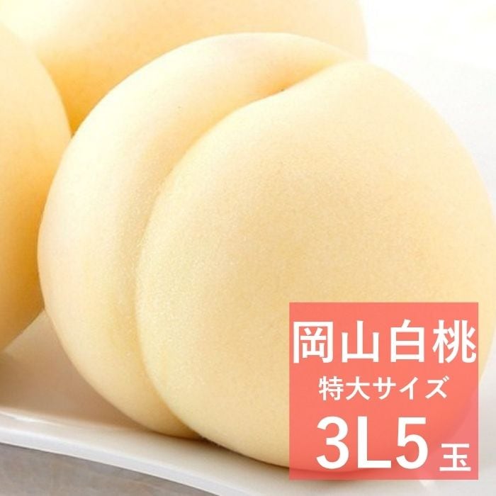 ������3L�������䲬������5�̡ڻ������Բġۡڽвٻ�����8���8��10������
