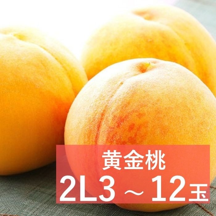 ������ Ķ�õ�(2L������) �ڻ������Բġۡ�8��ܤޤ���9���ܺ��в�ͽ���