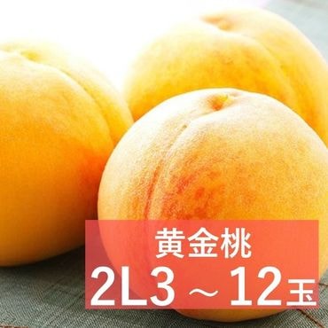 ������ Ķ�õ�(2L������) �ڻ������Բġۡ�8��ܤޤ���9���ܺ��в�ͽ���