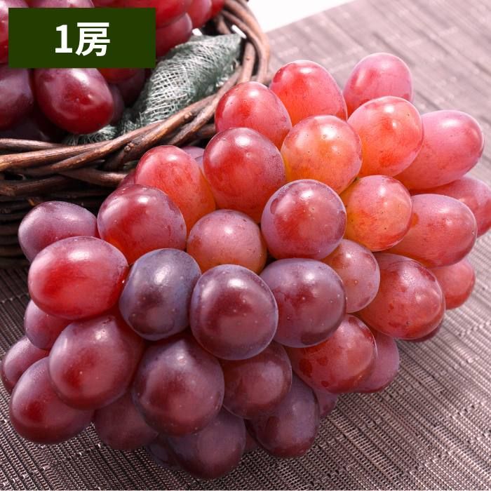 ڽвٻ11̵ۡ۲  1˼600g£ѡڻԲġ