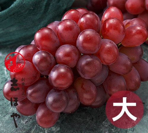 ڽвٻ12ܡ̵ܺۡ۲  ˼ 1˼800g£ѡڻԲġ