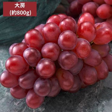 ڽвٻ11̵ۡ۲  ˼ 1˼800g£ѡڻԲġ