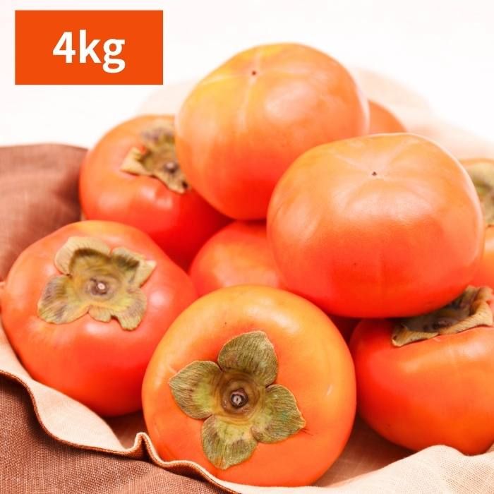 ڽвٻ11̵ۡͭ 4kg1315̡̰£ѡڻԲġ