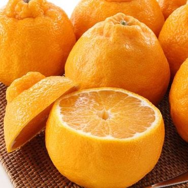 ڽвٻ12ܡ̵ۡۥϥǥݥ 2kg57̡̰£ѡڻԲġ