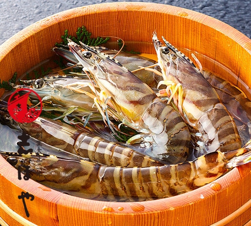 ڢ¡ȯ3ۡڽвٻ12̵ۡ۳褱֤ 210g78ɤˡڥء