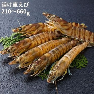 �褱�֤��ӡ�����̵����