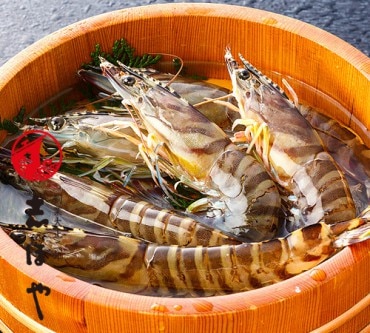 ڢ¡ȯ3ۡڽвٻ12̵ۡ۳褱֤ 420g1315ɤˡڥءۡڻԲġ