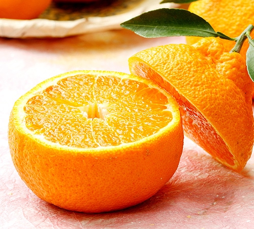 45ܺв١̵ۡդǥݥ ɲ  󥵡  ե4kg1116̡˵͡ڻԲġ