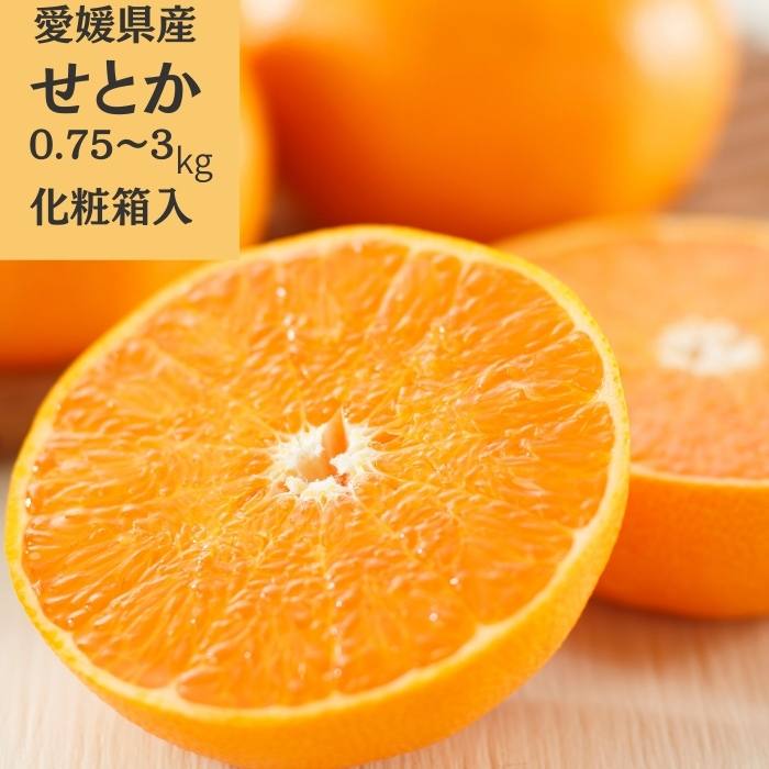 ��ɲ���� ���Ȥ��ڽвٻ�����2���ܡ�3����ܡۡ�����̵���ۡڻ������Բġ�