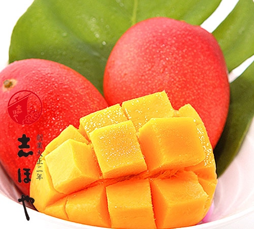 ���ϥޥ󥴡� �����ۤΥ��ޥ��� 2L������ ���� ��� ���֤� ������ ���ե�