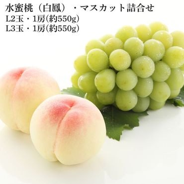 ��̪�����ޥ����åȵ͹礻 �ڻ������Բġ�