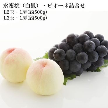 光センサー選別≪特大3Lサイズ≫ 水蜜桃【指定日不可】【出荷時期：7月