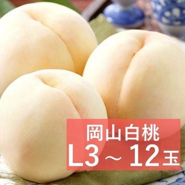 �������� �õ�(L������)�ڻ������Բġۡڽвٻ�����8���8��10������