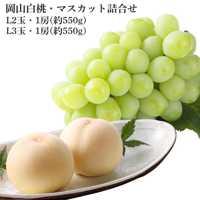 �����������ޥ����åȵ͹礻 �ڻ������Բġ�